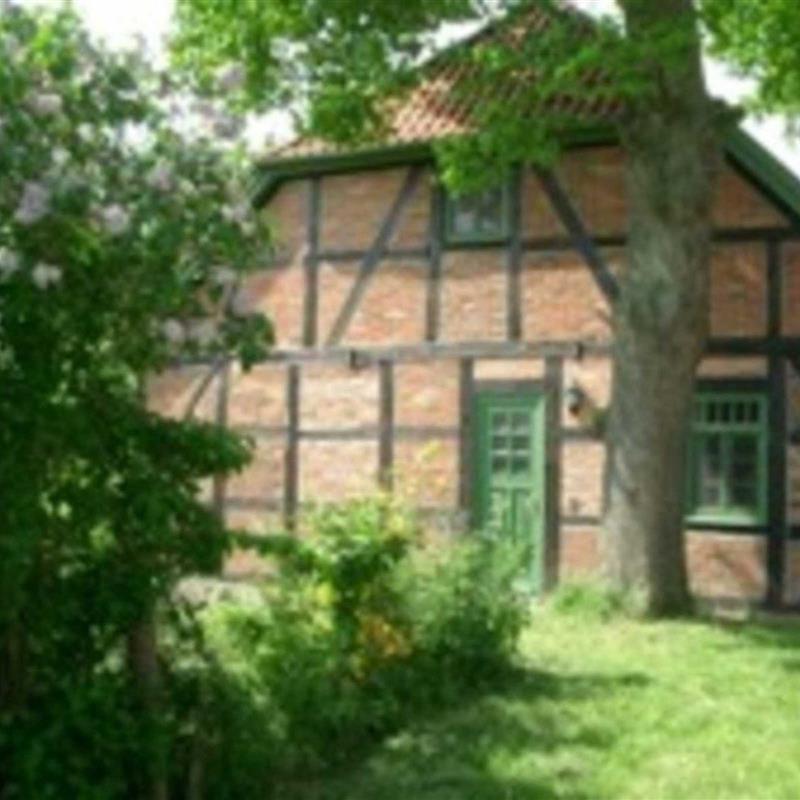 Ferielejlighed - 4 personer -  - Dorfstraße - 18249 - Warnow / Buchenhof