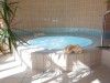 Bild 14