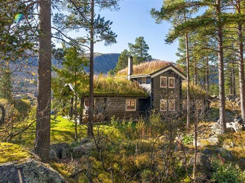 Sommerhus - 12 personer -  - Nygardsvegen - Hallingskarvet Skibyen - 3577 - Hovet