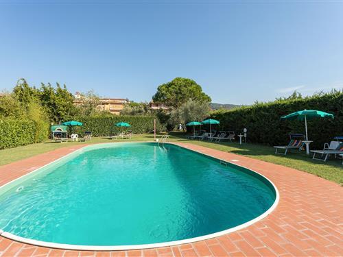 Ferieleilighet - 6 personer -  - 06069 - Tuoro Sul Trasimeno