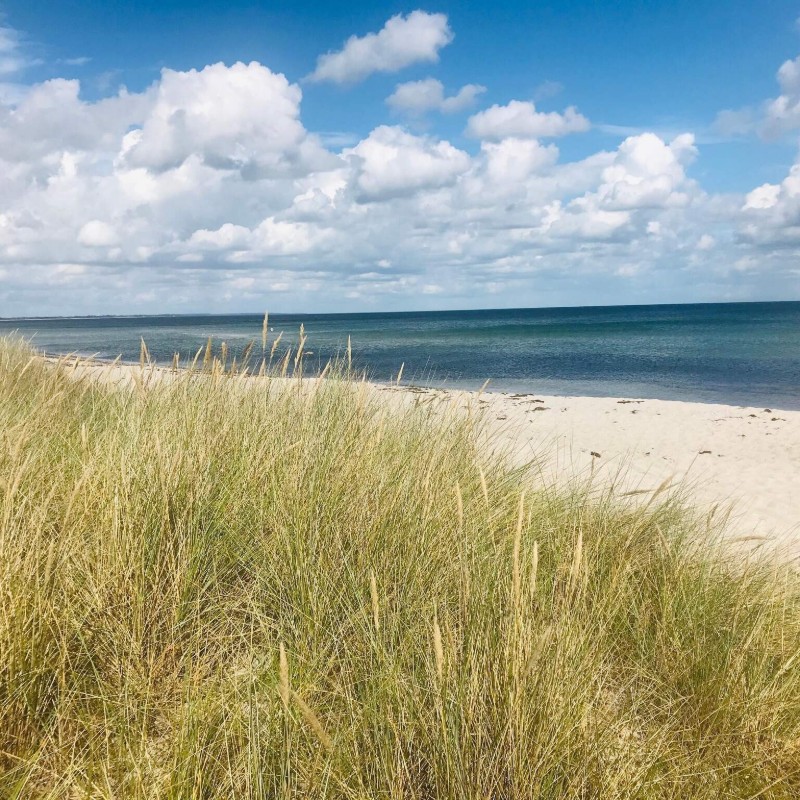 Ferienhaus - 7 Personen -  - Pimpernelvej - Marielyst - 4873 - Väggerlöse