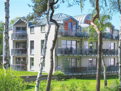 Ferieleilighet - 3 personer -  - Am Waldwinkel - 18556 - Juliusruh