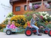 Bild 41