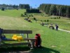 Billede 26