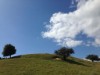 Billede 1