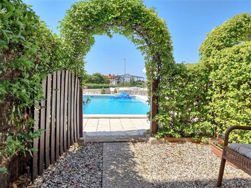 Ferieleilighet - 2 personer -  - Novigrad (Istra) - 52466