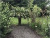 Image 14