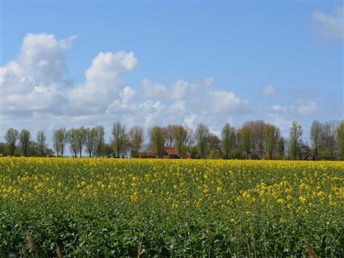 Feriehus / leilighet - 4 personer -  - Kloster Sielmönken - 26736 - Krummhörn / Uttum