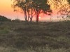 Bild 3 - Ude