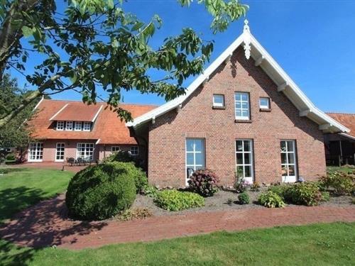 Ferienwohnung - 6 Personen -  - Hoogsteder Straße - 49849 - Wilsum