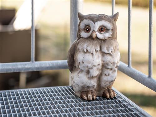 Holiday apartment - 4 persons -  - Kriegerfriedhofstraße - 66701 - Reimsbach