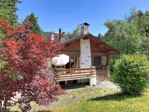 Holiday home - 8 persons -  - 1619 - Les Paccots