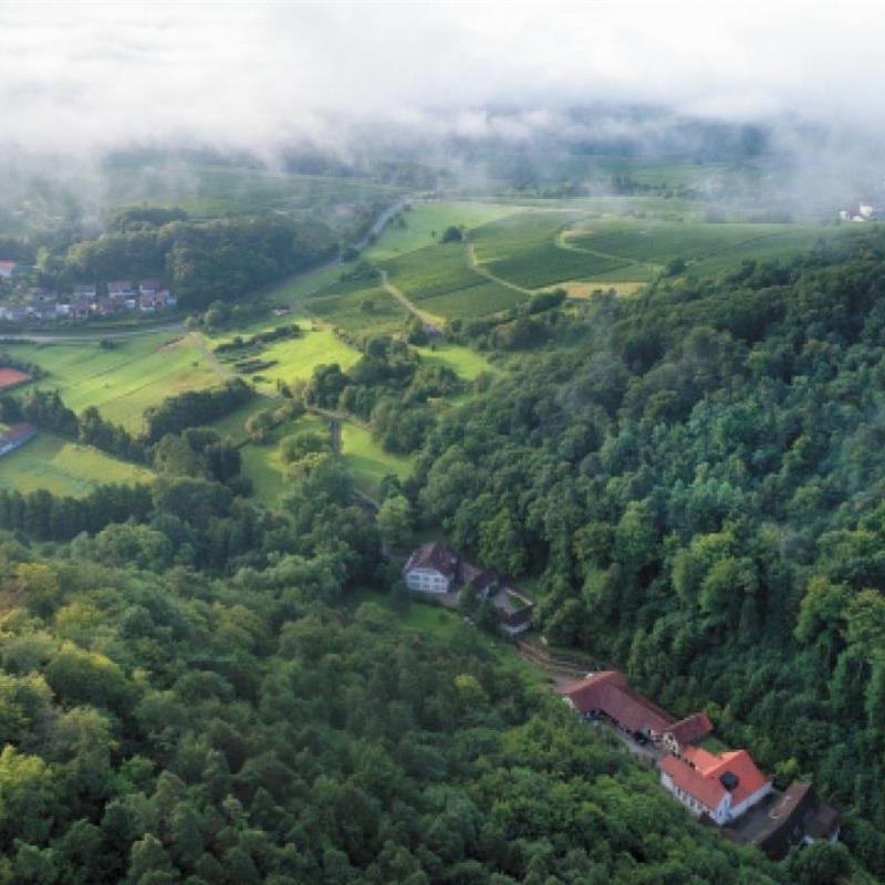 Ferielejlighed - 2 personer -  - Steinstraße - 76889 - Klingenmünster