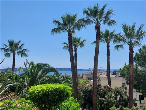 Holiday apartment - 4 persons -  - Cannes - 06400