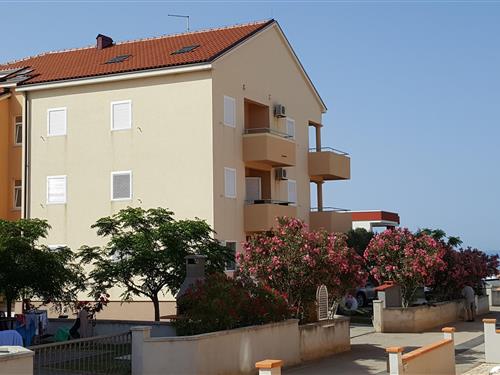 Holiday Home/Apartment - 3 persons -  - Privlaka - 23233 - Privlaka