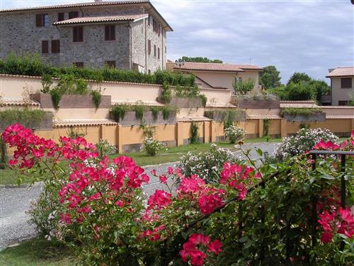 Ferieleilighet - 4 personer -  - Castellina Marittima - 56040