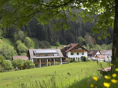 Ferieleilighet - 4 personer -  - Freyenhöfe - 72270 - Baiersbronn