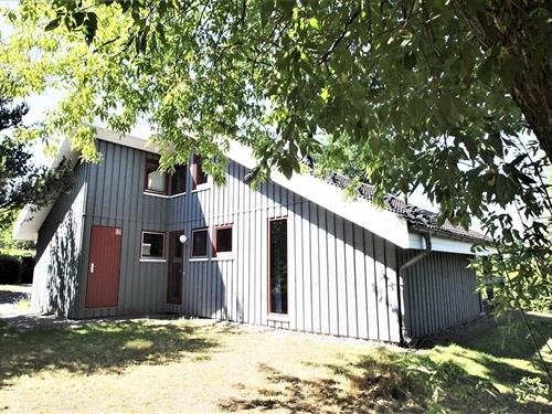 Sommerhus - 6 personer -  - Walter-Gotsmann-Straße - 17252 - Mirow