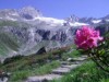 Bild 41