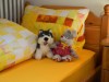 Bild 8 - Ude
