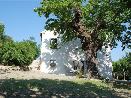 Holiday Home/Apartment - 6 persons -  - 61038 - Barchi