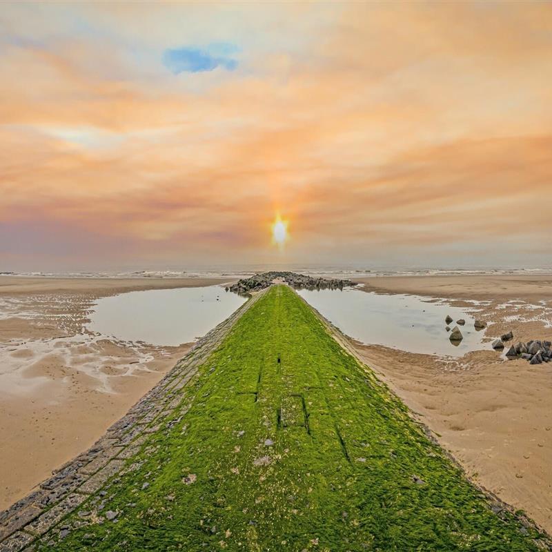 Ferielejlighed - 4 personer -  - 8430 - Middelkerke