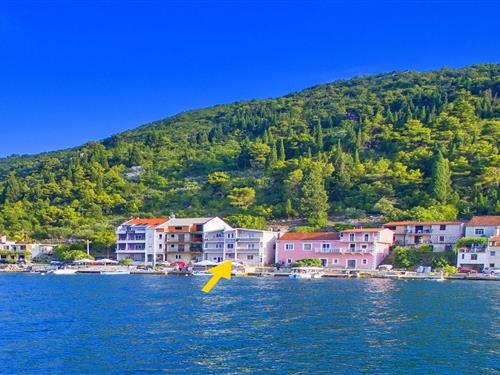 Holiday apartment - 2 persons -  - 20357 - Blace