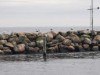 Bild 42 - Blick über's Wasser