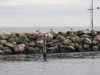 Bild 38 - Blick über's Wasser