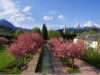 Bild 17