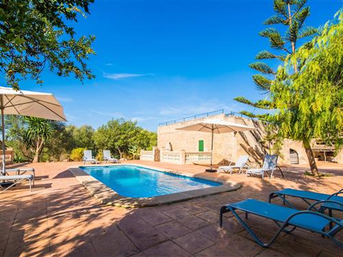 Feriehus / leilighet - 2 personer -  - Diseminado Poligon - Agroturismo Cas Mayoral, Manacor - 07500 - Manacor