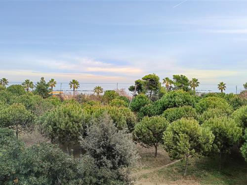 Holiday apartment - 9 persons -  - Via Trebbia - 65015 - Montesilvano