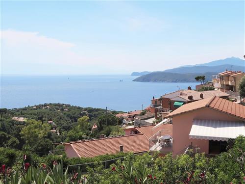 Ferienwohnung - 4 Personen -  - Capoliveri - 57031