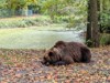 Bild 32