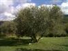 Bild 20 - Aussen
