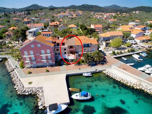 Holiday apartment - 4 persons -  - Centar 10, Poljana - 23273 - Preko