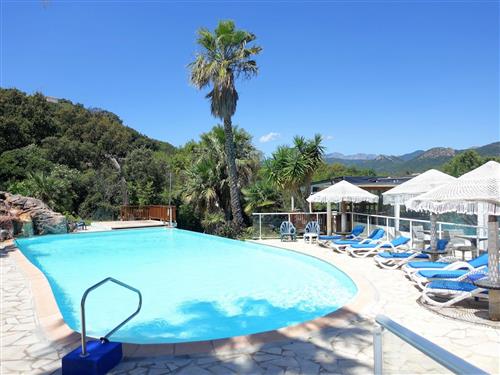 Sommerhus - 2 personer -  - Pinarellu - 20144