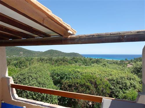 Holiday home - 2 persons -  - Pinarellu - 20144