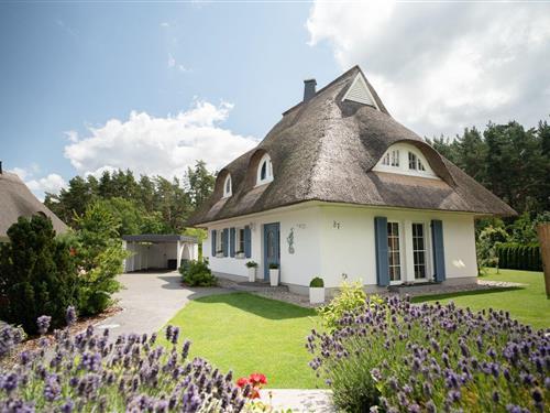 Feriehus - 6 personer -  - Am Schabernack - 18356 - Fuhlendorf