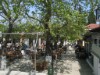 Bild 6 - Ude