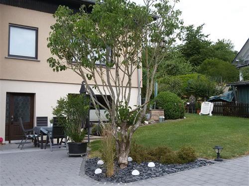 Ferielejlighed - 4 personer -  - Zur Huf - 54636 - Bickendorf