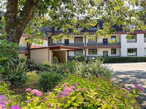 Ferieleilighet - 4 personer -  - 59955 - Winterberg