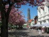 Bild 20