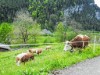 Bild 16 - Innen