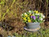 Bild 12 - Ude
