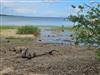 Bild 8 - Blick über's Wasser