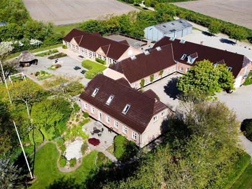 Feriehus - 50 personer -  - Nymindegabvej - Henne Strand - 6855 - Outrup