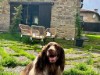 Bild 18