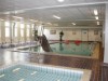 Billede 11 - Fælles swimmingpool