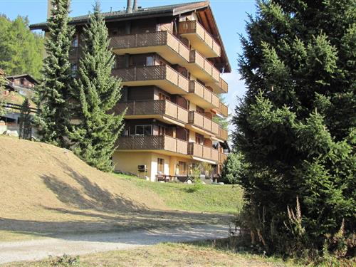 Ferieleilighet - 4 personer -  - 3997 - Bellwald